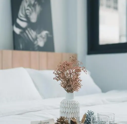 41cafetel Hostel